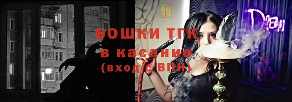 ГАЛЛЮЦИНОГЕННЫЕ ГРИБЫ Касимов