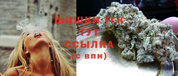 ГАЛЛЮЦИНОГЕННЫЕ ГРИБЫ Касимов