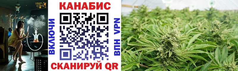 Купить закладки  Каменск-Уральский  Конопля планчик 